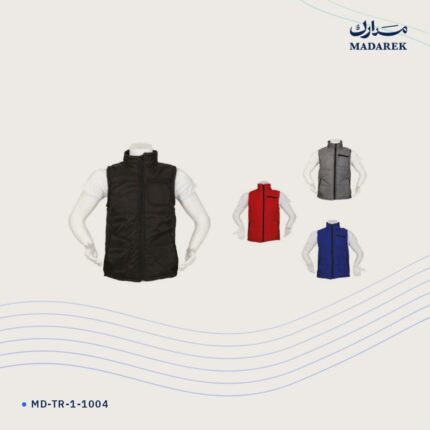 فيست